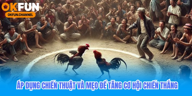 Đá Gà Okfun - Trực Tiếp Đá Gà Tại Campuchia 2025 4 Áp dụng chiến thuật và mẹo để tăng cơ hội chiến thắng