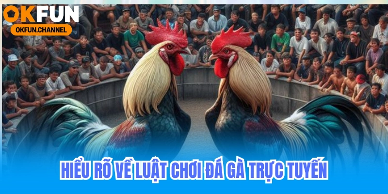 Đá Gà Okfun - Trực Tiếp Đá Gà Tại Campuchia 2025 5 Hiểu rõ về đặc điểm và luật chơi đá gà trực tuyến