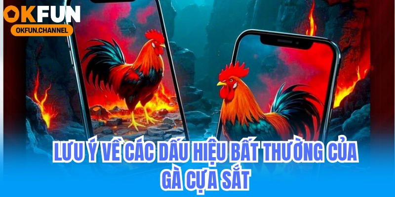 Người chơi đá gà cựa sắt online đừng bỏ lỡ tuyệt chiêu này! 4 Đá Gà Cựa sắt Lưu Ý Về Các Dấu Hiệu Bất Thường