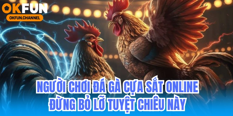 Người chơi đá gà cựa sắt online đừng bỏ lỡ tuyệt chiêu này! 5 Người chơi đá gà cựa sắt online đừng bỏ lỡ tuyệt chiêu này!