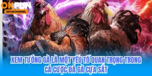 Xem tướng gà là một yếu tố hết sức quan trọng trong đá gà cựa sắt online